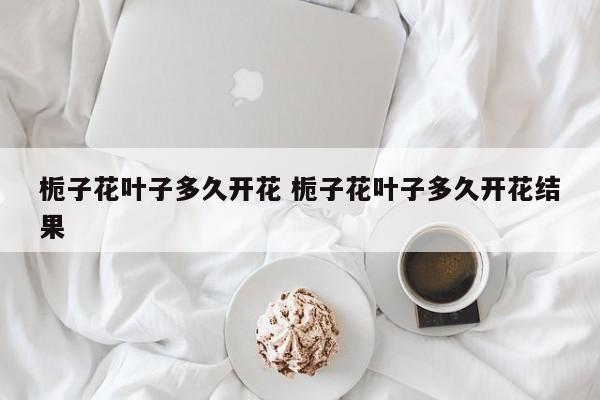 栀子花叶子多久开花 栀子花叶子多久开花结果