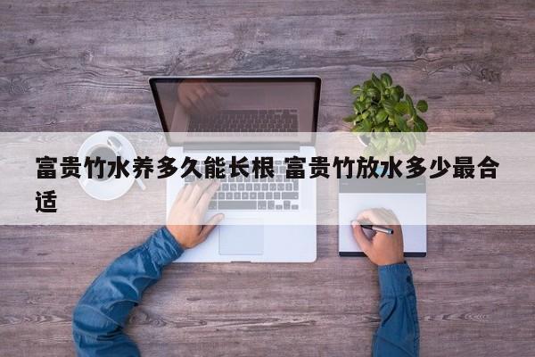 富贵竹水养多久能长根 富贵竹放水多少最合适