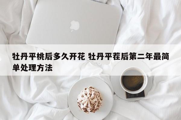 牡丹平桃后多久开花 牡丹平茬后第二年最简单处理方法