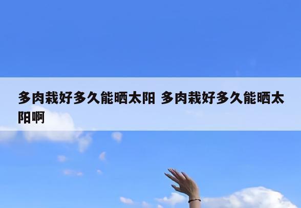 多肉栽好多久能晒太阳 多肉栽好多久能晒太阳啊