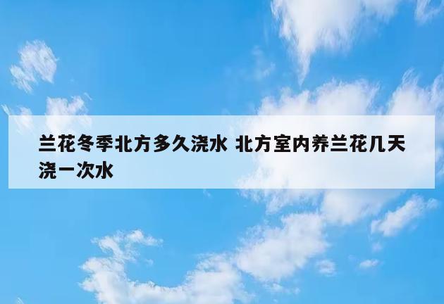 兰花冬季北方多久浇水 北方室内养兰花几天浇一次水