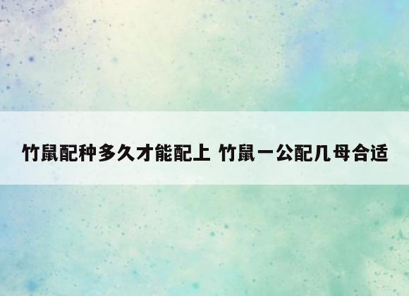竹鼠配种多久才能配上 竹鼠一公配几母合适