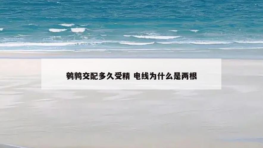 鹌鹑交配多久受精 电线为什么是两根