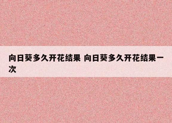 向日葵多久开花结果 向日葵多久开花结果一次