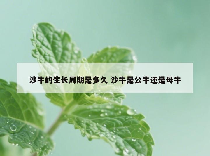 沙牛的生长周期是多久 沙牛是公牛还是母牛