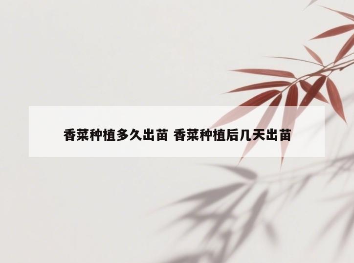 香菜种植多久出苗 香菜种植后几天出苗