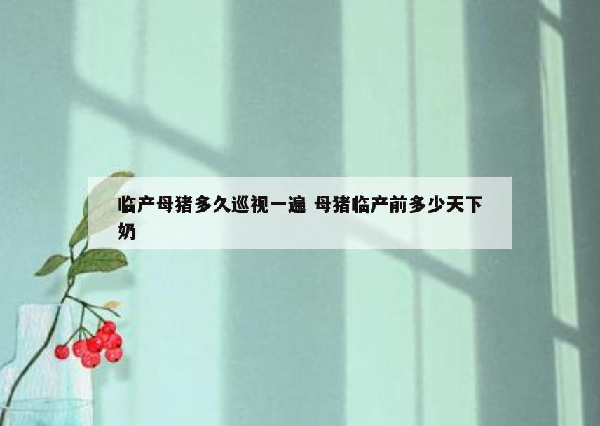 临产母猪多久巡视一遍 母猪临产前多少天下奶