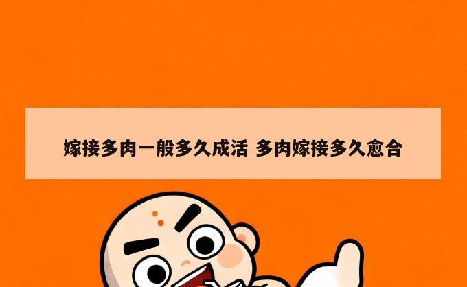 嫁接多肉一般多久成活 多肉嫁接多久愈合