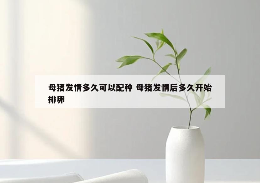 母猪发情多久可以配种 母猪发情后多久开始排卵