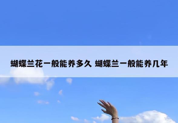 蝴蝶兰花一般能养多久 蝴蝶兰一般能养几年
