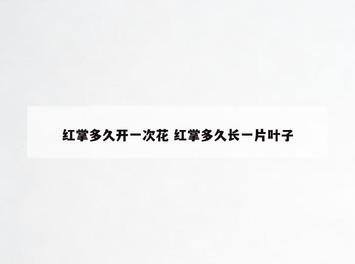 红掌多久开一次花 红掌多久长一片叶子