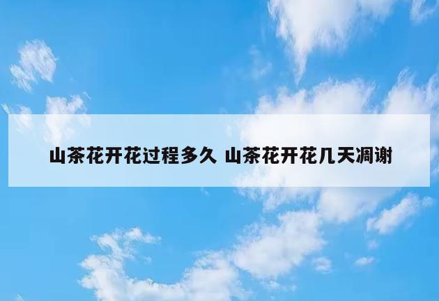 山茶花开花过程多久 山茶花开花几天凋谢