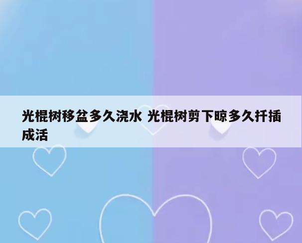 光棍树移盆多久浇水 光棍树剪下晾多久扦插成活