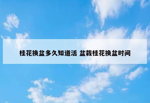 桂花换盆多久知道活 盆栽桂花换盆时间