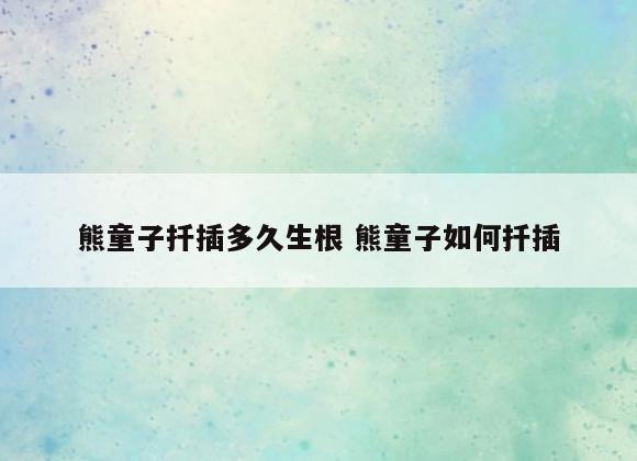 熊童子扦插多久生根 熊童子如何扦插
