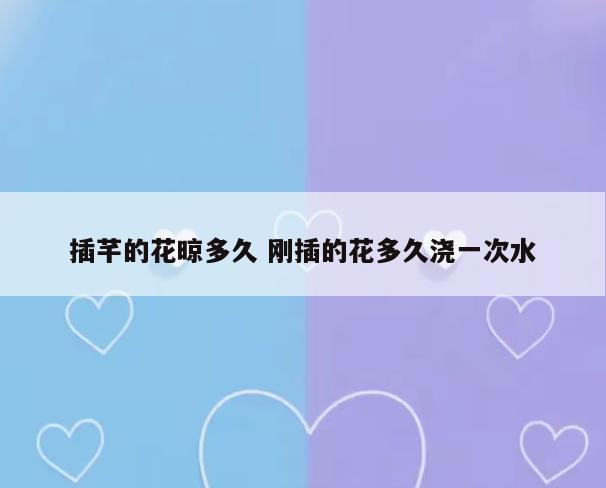 插芊的花晾多久 刚插的花多久浇一次水