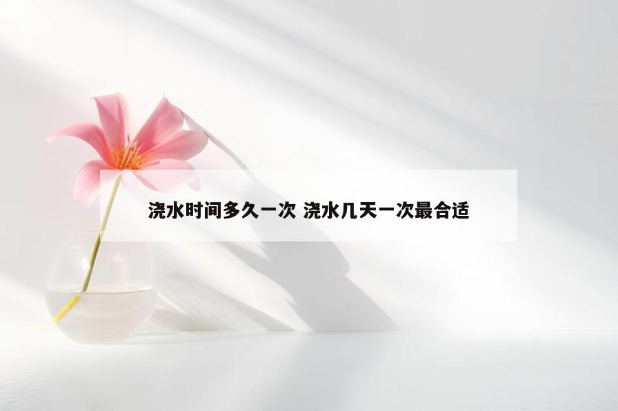 浇水时间多久一次 浇水几天一次最合适