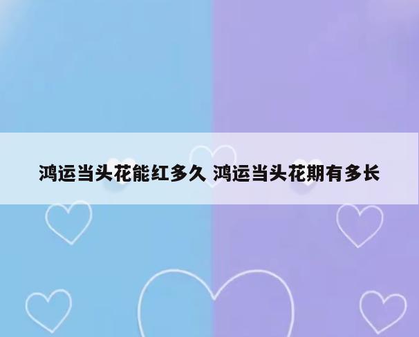 鸿运当头花能红多久 鸿运当头花期有多长