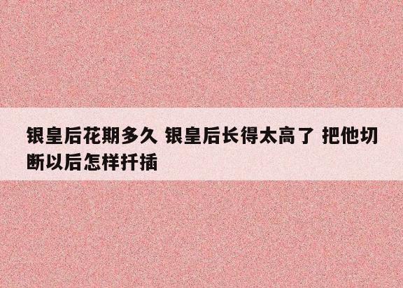 银皇后花期多久 银皇后长得太高了 把他切断以后怎样扦插