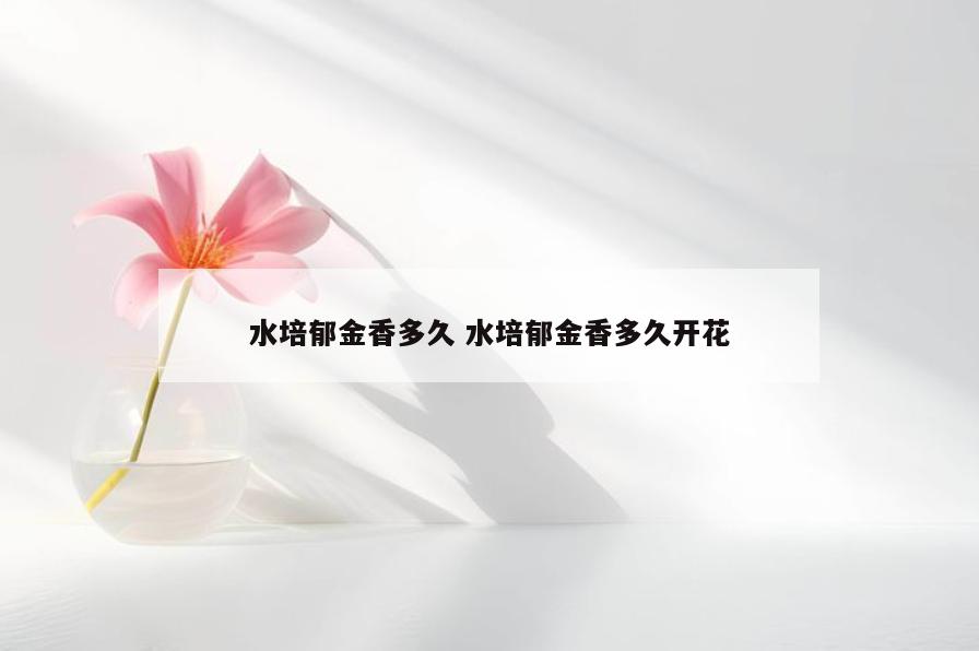 水培郁金香多久 水培郁金香多久开花