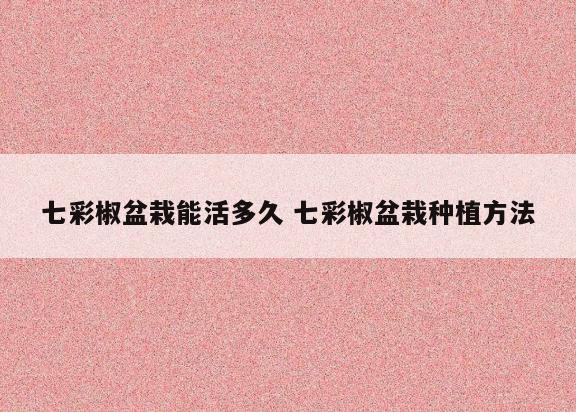 七彩椒盆栽能活多久 七彩椒盆栽种植方法