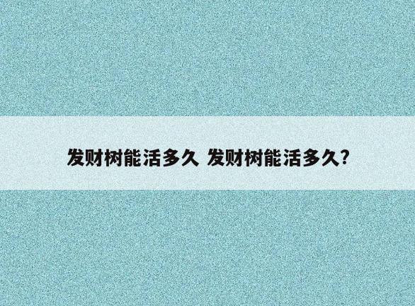 发财树能活多久 发财树能活多久?