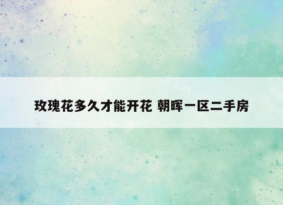 玫瑰花多久才能开花 朝晖一区二手房