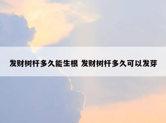 发财树杆多久能生根 发财树杆多久可以发芽
