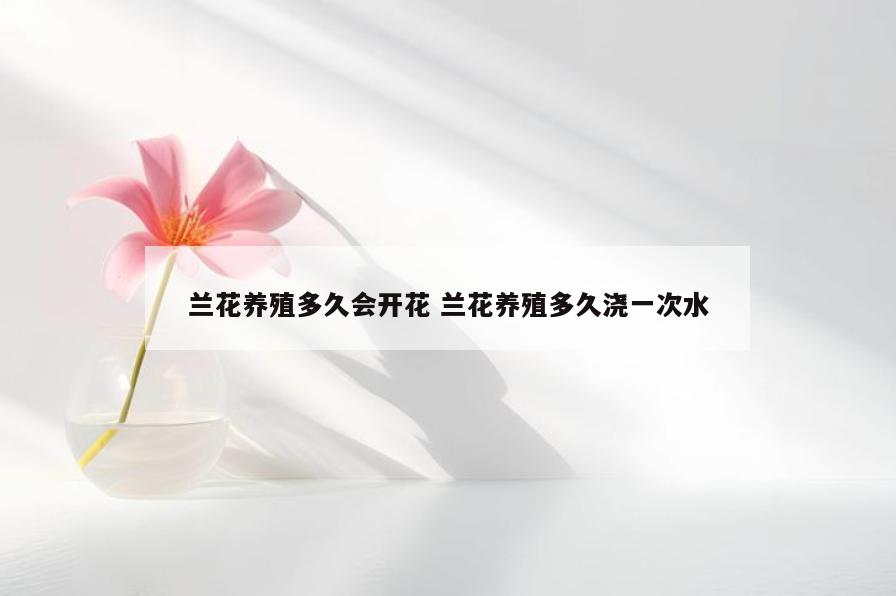 兰花养殖多久会开花 兰花养殖多久浇一次水