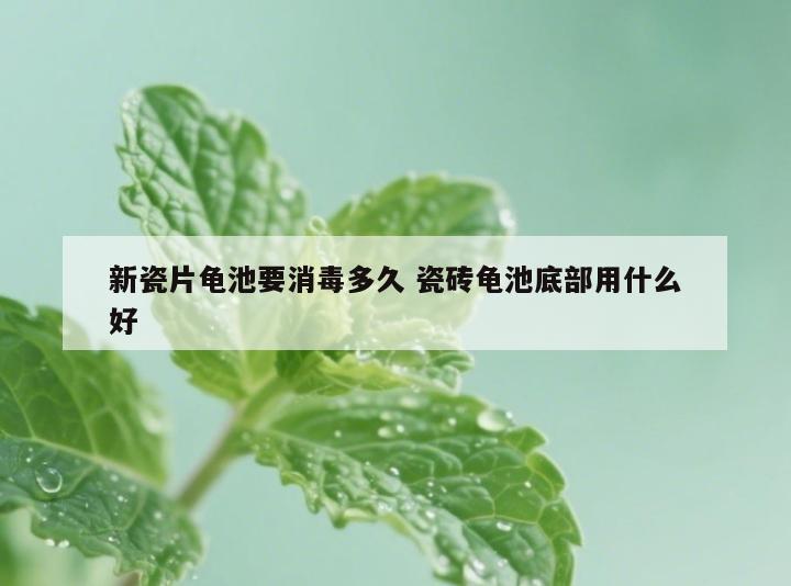 新瓷片龟池要消毒多久 瓷砖龟池底部用什么好