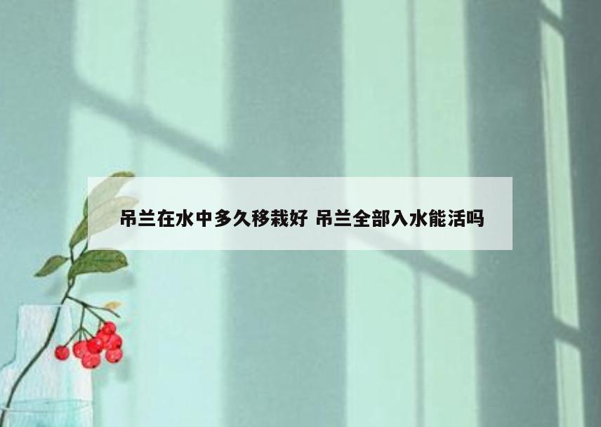 吊兰在水中多久移栽好 吊兰全部入水能活吗