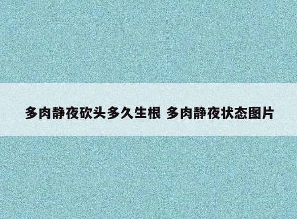 多肉静夜砍头多久生根 多肉静夜状态图片