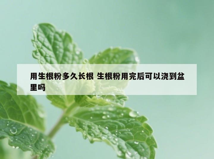 用生根粉多久长根 生根粉用完后可以浇到盆里吗