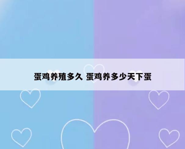蛋鸡养殖多久 蛋鸡养多少天下蛋