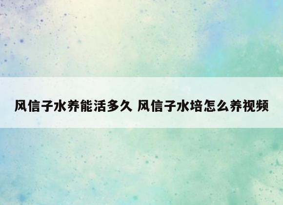 风信子水养能活多久 风信子水培怎么养视频