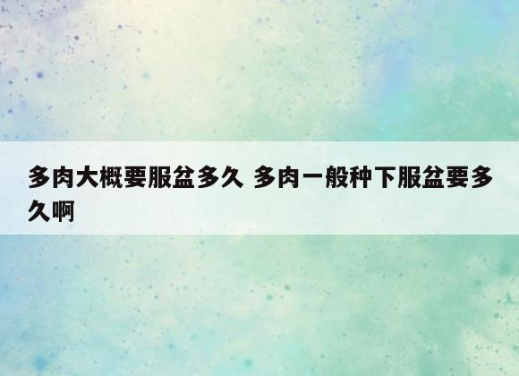 多肉大概要服盆多久 多肉一般种下服盆要多久啊