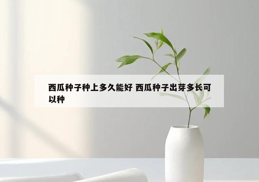 西瓜种子种上多久能好 西瓜种子出芽多长可以种