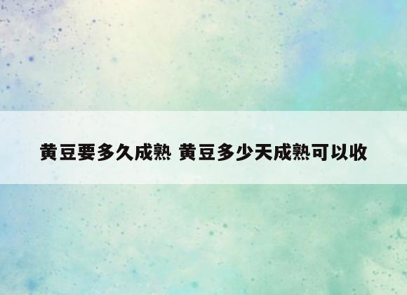 黄豆要多久成熟 黄豆多少天成熟可以收