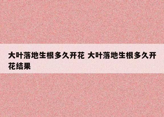 大叶落地生根多久开花 大叶落地生根多久开花结果
