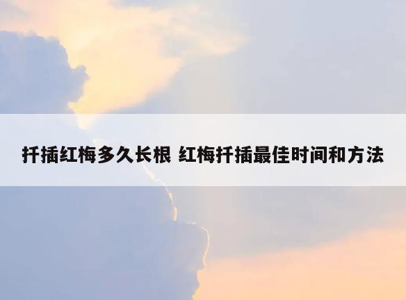 扦插红梅多久长根 红梅扦插最佳时间和方法