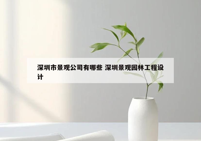 深圳市景观公司有哪些 深圳景观园林工程设计