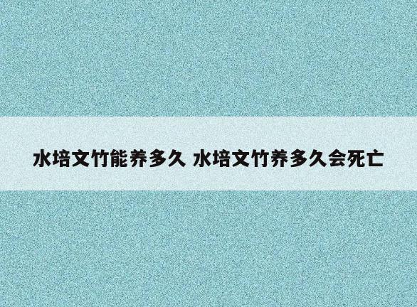 水培文竹能养多久 水培文竹养多久会死亡