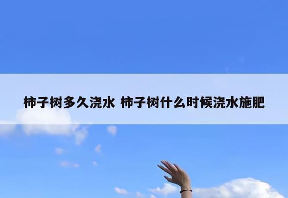 柿子树多久浇水 柿子树什么时候浇水施肥
