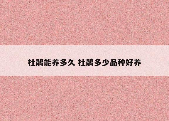 杜鹃能养多久 杜鹃多少品种好养