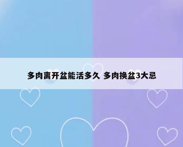 多肉离开盆能活多久 多肉换盆3大忌