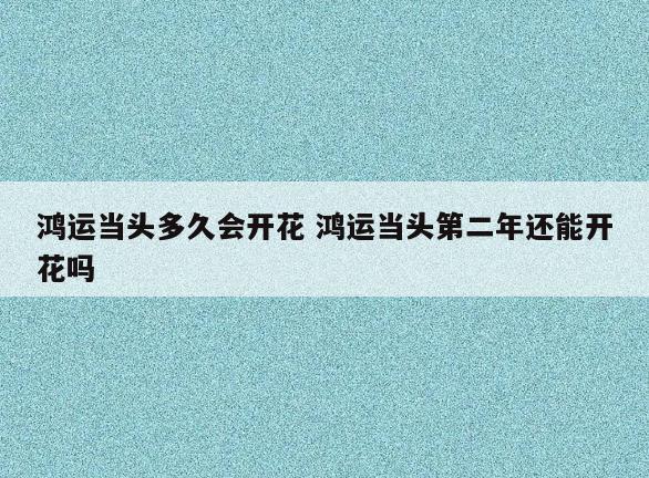 鸿运当头多久会开花 鸿运当头第二年还能开花吗
