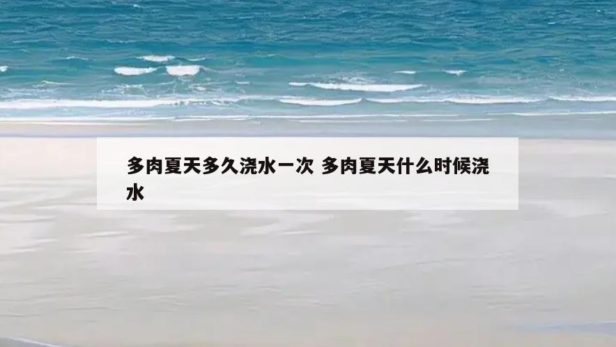 多肉夏天多久浇水一次 多肉夏天什么时候浇水