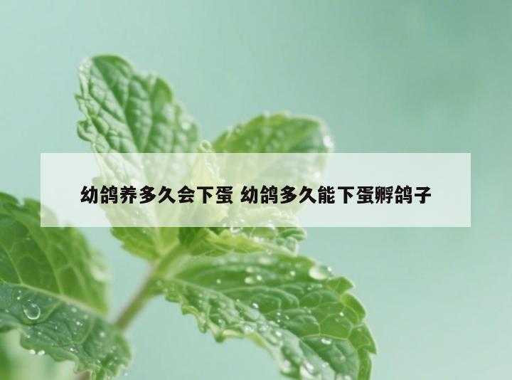 幼鸽养多久会下蛋 幼鸽多久能下蛋孵鸽子