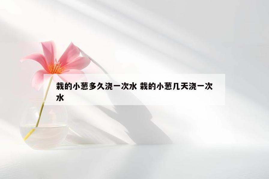 栽的小葱多久浇一次水 栽的小葱几天浇一次水
