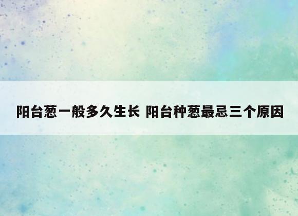 阳台葱一般多久生长 阳台种葱最忌三个原因